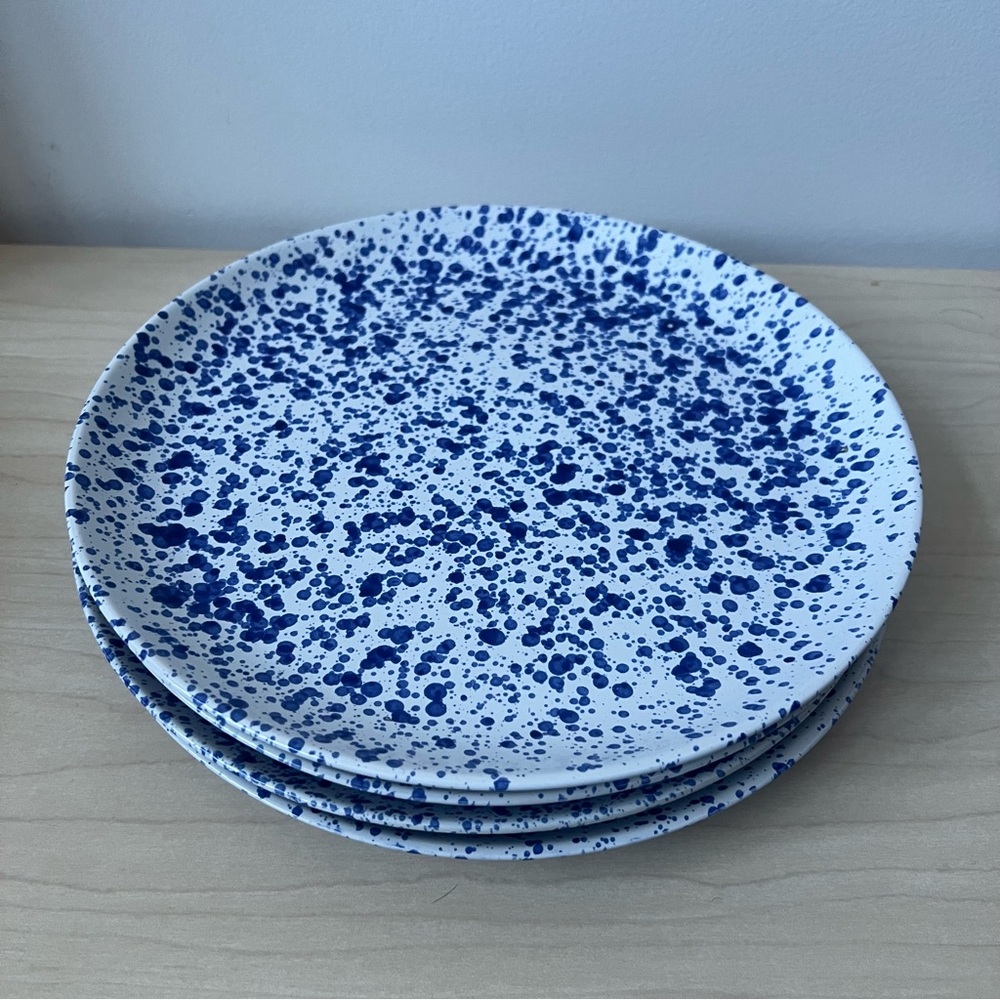 Blue and White Speckled Plates